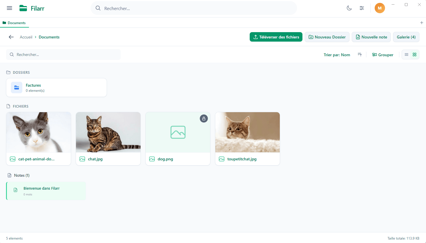 51+ formats avec aperçu intégré